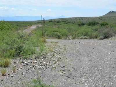 40.72+/- Acre Online Land Auction (Douglas, Az) - image 12
