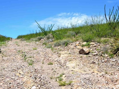 40.72+/- Acre Online Land Auction (Douglas, Az) - image 26