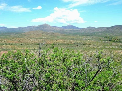 40.72+/- Acre Online Land Auction (Douglas, Az) - image 27