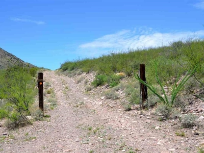 40.72+/- Acre Online Land Auction (Douglas, Az) - image 25