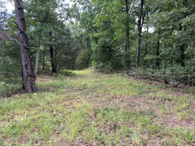 Country Home And Land For Sale In Arkansas - image 36