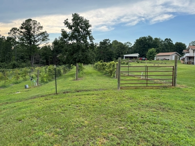 Country Home And Land For Sale In Arkansas - image 42