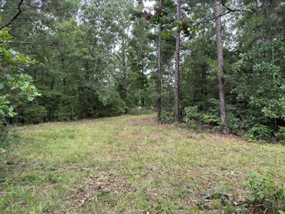 Country Home And Land For Sale In Arkansas - image 34
