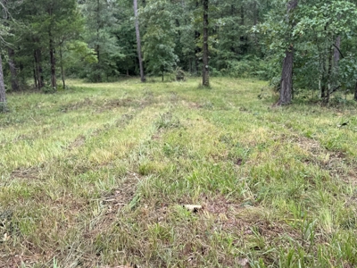 Country Home And Land For Sale In Arkansas - image 39