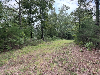 Country Home And Land For Sale In Arkansas - image 35
