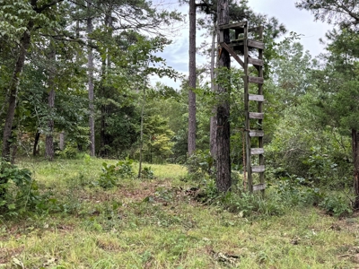 Country Home And Land For Sale In Arkansas - image 40