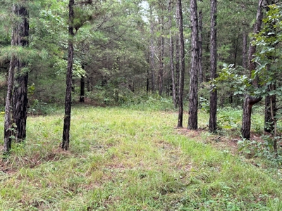 Country Home And Land For Sale In Arkansas - image 41