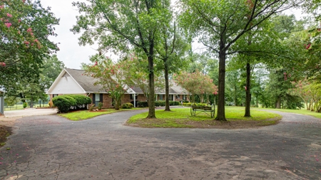 32.4 East Texas Acres 3Br-2.5Ba Winnsboro Wood County Texas - image 4