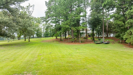 32.4 East Texas Acres 3Br-2.5Ba Winnsboro Wood County Texas - image 41