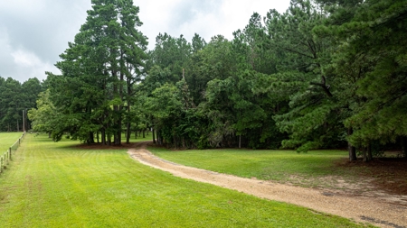 32.4 East Texas Acres 3Br-2.5Ba Winnsboro Wood County Texas - image 2