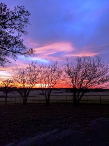 32.4 East Texas Acres 3Br-2.5Ba Winnsboro Wood County Texas - image 49