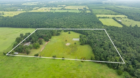 32.4 East Texas Acres 3Br-2.5Ba Winnsboro Wood County Texas - image 39