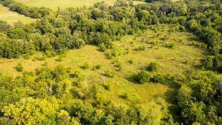 Hunting and Recreational Property in Mahaska County, Iowa - image 14