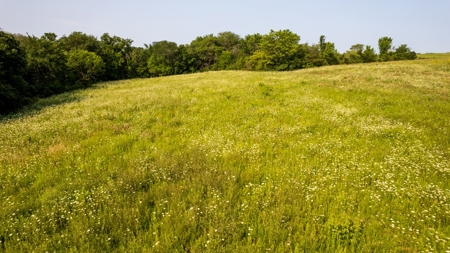 Hunting and Recreational Property in Mahaska County, Iowa - image 27