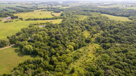 Hunting and Recreational Property in Mahaska County, Iowa - image 3