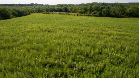Hunting and Recreational Property in Mahaska County, Iowa - image 22