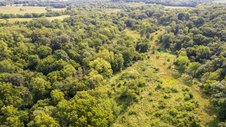 Hunting and Recreational Property in Mahaska County, Iowa - image 9