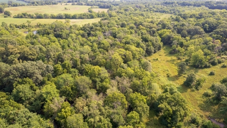 Hunting and Recreational Property in Mahaska County, Iowa - image 10