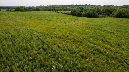 Hunting and Recreational Property in Mahaska County, Iowa - image 21