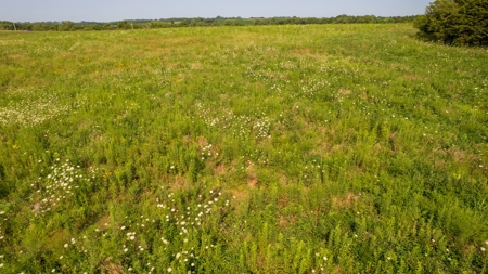 Hunting and Recreational Property in Mahaska County, Iowa - image 23