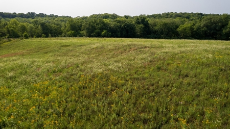 Hunting and Recreational Property in Mahaska County, Iowa - image 25