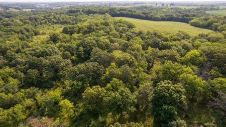 Hunting and Recreational Property in Mahaska County, Iowa - image 11