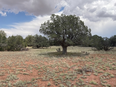 Large Rural Acreage for Sale with No HOA, Seligman AZ - image 8