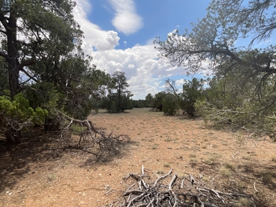 Large Rural Acreage for Sale with No HOA, Seligman AZ - image 7