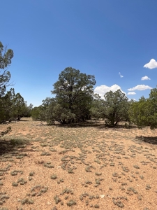 Large Rural Acreage for Sale with No HOA, Seligman AZ - image 5
