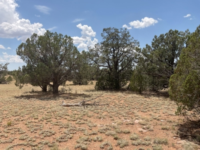 Large Rural Acreage for Sale with No HOA, Seligman AZ - image 1