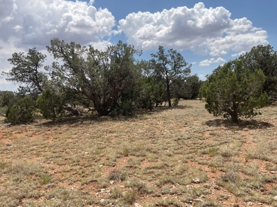 Large Rural Acreage for Sale with No HOA, Seligman AZ - image 4