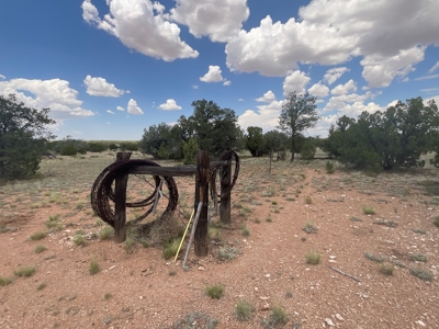 Large Rural Acreage for Sale with No HOA, Seligman AZ - image 6