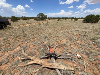 Large Rural Acreage for Sale with No HOA, Seligman AZ - image 3