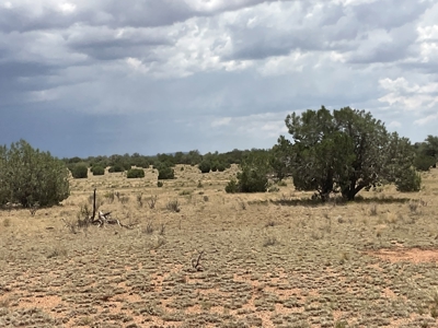Large Rural Acreage for Sale with No HOA, Seligman AZ - image 9
