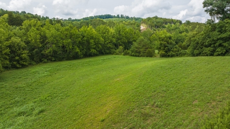For Sale: Unrestricted Mountain Paradise in Hawkins County - image 25