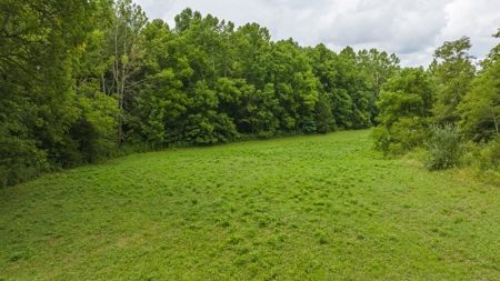 For Sale: Unrestricted Mountain Paradise in Hawkins County - image 4
