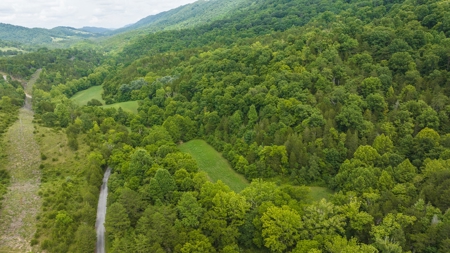For Sale: Unrestricted Mountain Paradise in Hawkins County - image 10