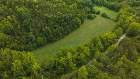 For Sale: Unrestricted Mountain Paradise in Hawkins County - image 38