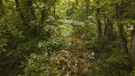 For Sale: Unrestricted Mountain Paradise in Hawkins County - image 48