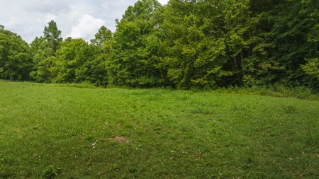 For Sale: Unrestricted Mountain Paradise in Hawkins County - image 16