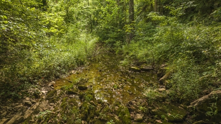 For Sale: Unrestricted Mountain Paradise in Hawkins County - image 49