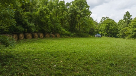 For Sale: Unrestricted Mountain Paradise in Hawkins County - image 15