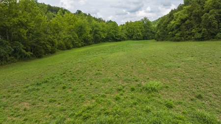 For Sale: Unrestricted Mountain Paradise in Hawkins County - image 30