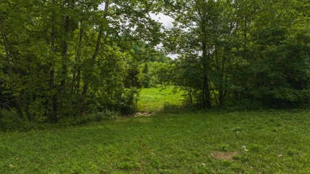 For Sale: Unrestricted Mountain Paradise in Hawkins County - image 17