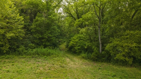 For Sale: Unrestricted Mountain Paradise in Hawkins County - image 3