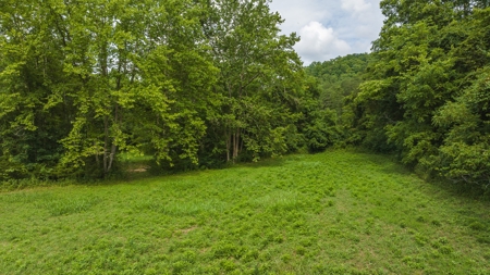 For Sale: Unrestricted Mountain Paradise in Hawkins County - image 33