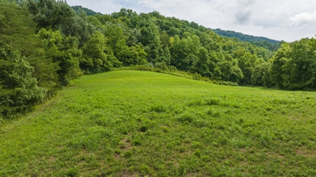 For Sale: Unrestricted Mountain Paradise in Hawkins County - image 29