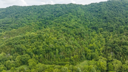 For Sale: Unrestricted Mountain Paradise in Hawkins County - image 12