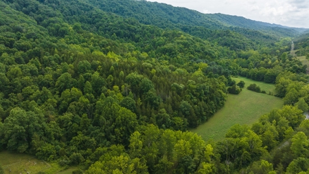 For Sale: Unrestricted Mountain Paradise in Hawkins County - image 39