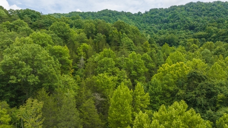For Sale: Unrestricted Mountain Paradise in Hawkins County - image 7